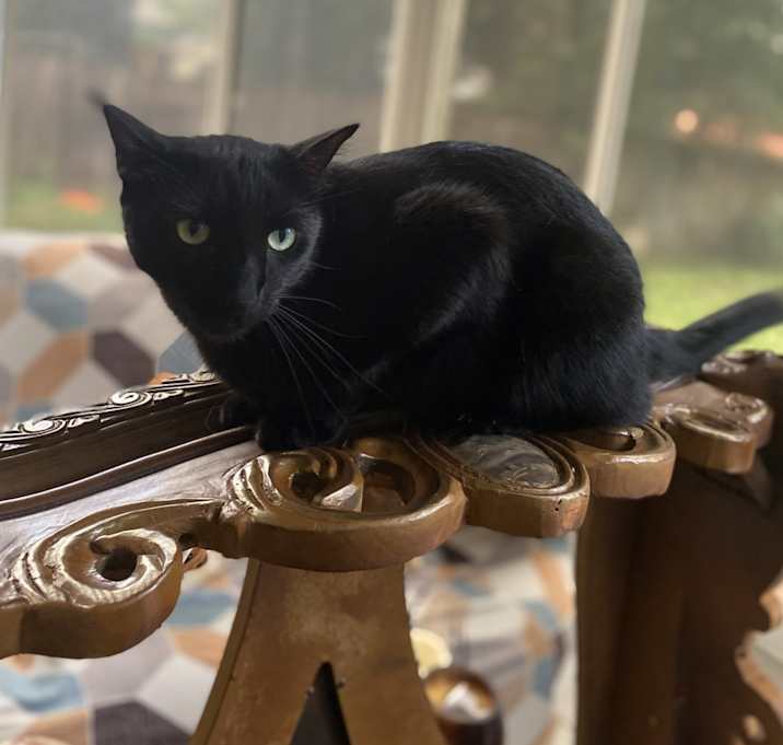 Photo of Ghost