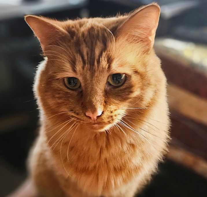 Photo of Astro