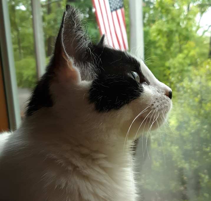 Photo of Kelly