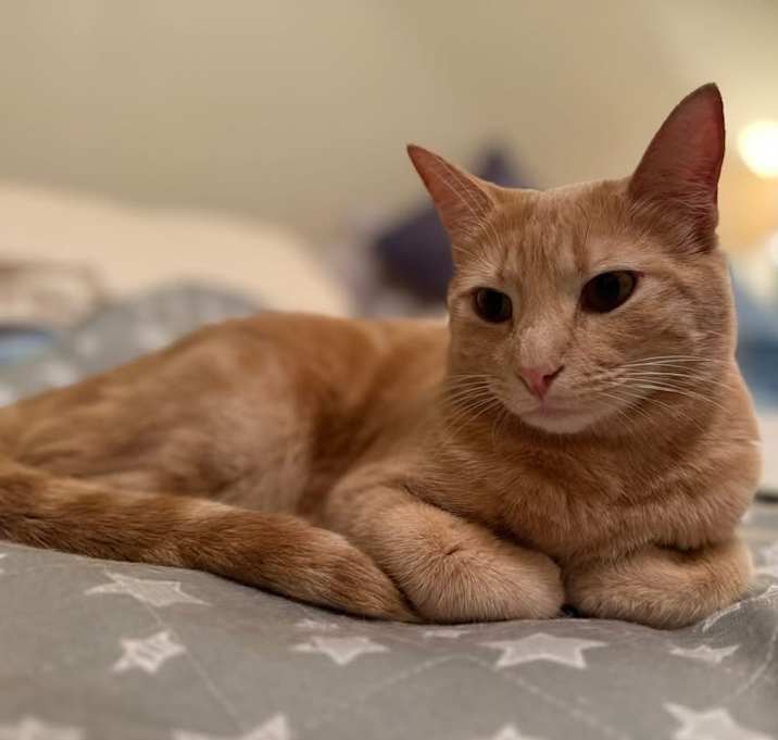 Photo of Laramie