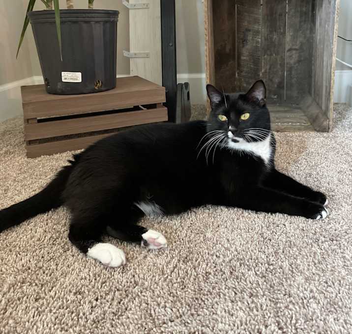 Photo of Maisey