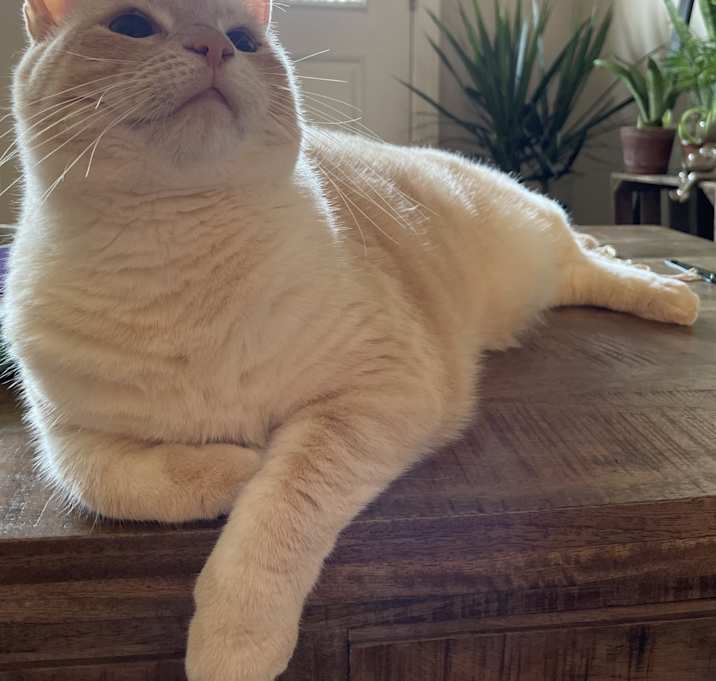 Photo of Marco