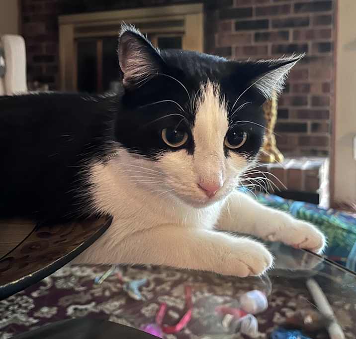 Photo of Babie
