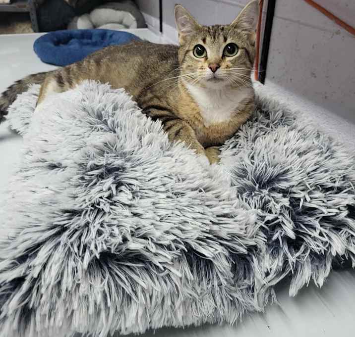 Photo of Sandy