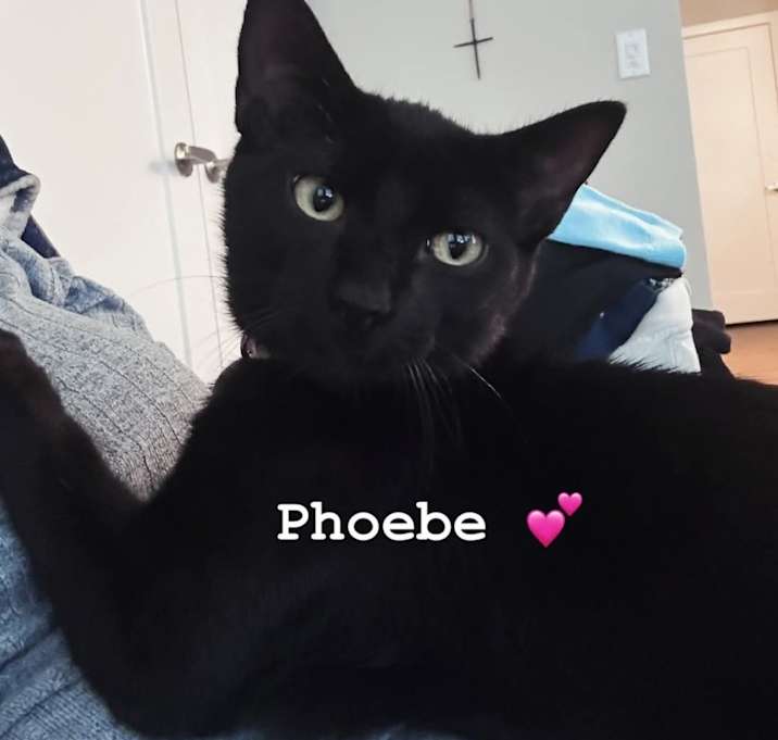 Photo of Phoebe