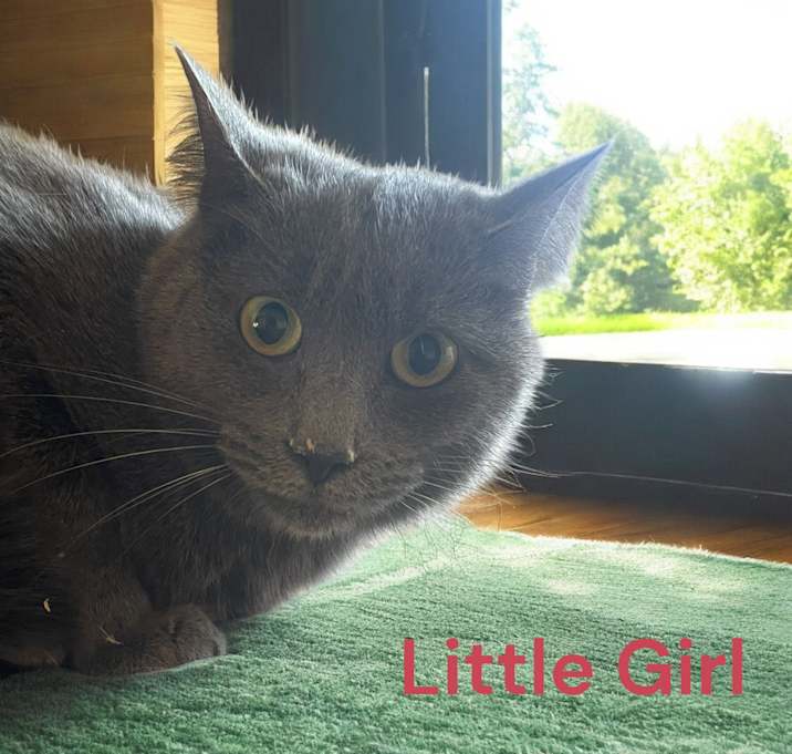 Photo of Little Girl