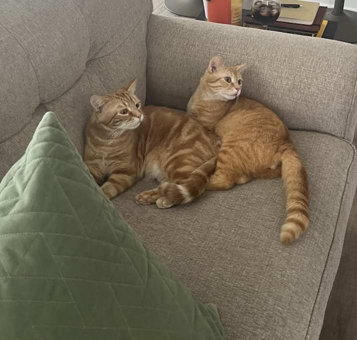 Photo of Donut & Waffle