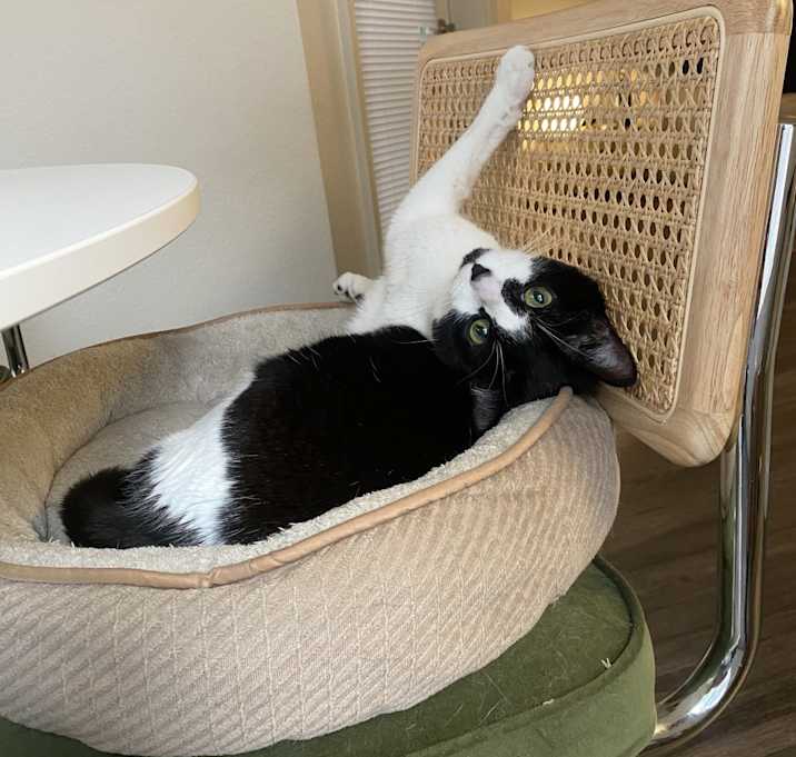Photo of Billy