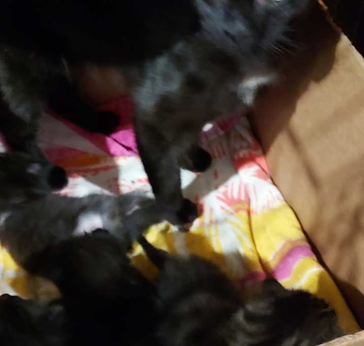 Photo of Mama