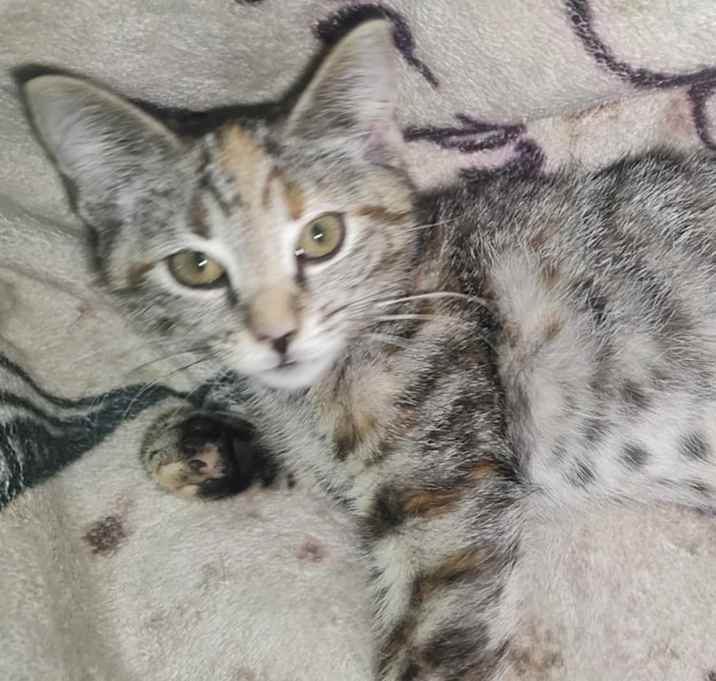 Photo of Leia