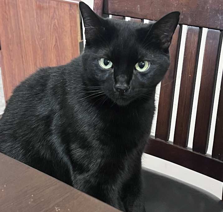 Photo of Little Bear