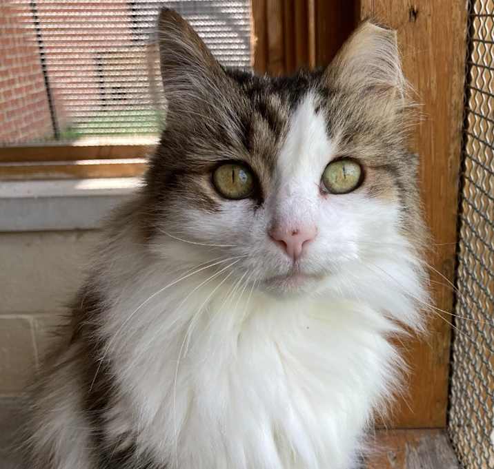 Photo of Squishy Baroness