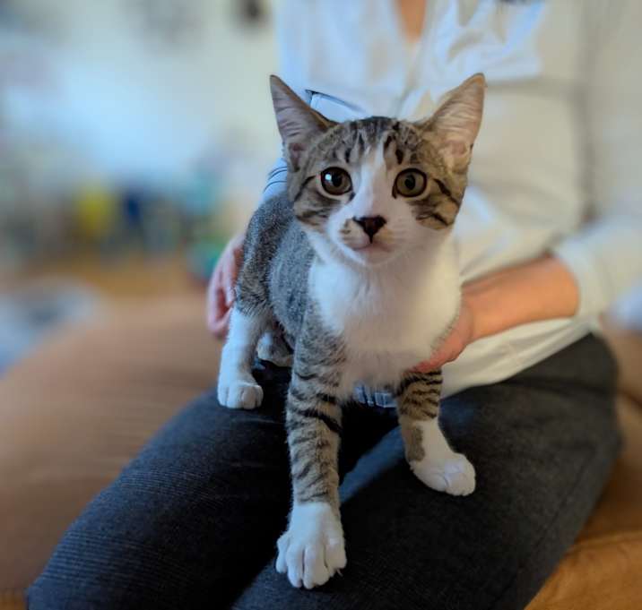 Photo of Tigger