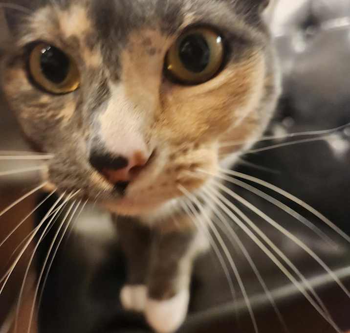 Photo of Jill