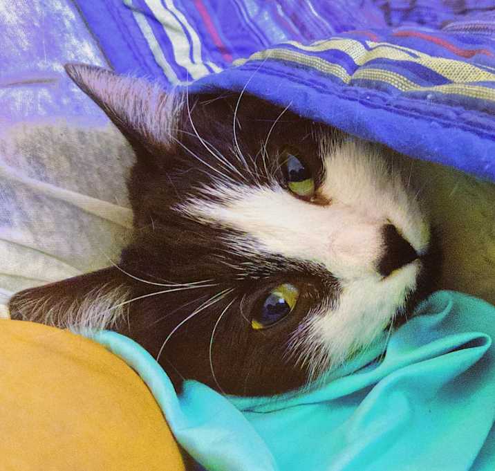Photo of Princess Julie