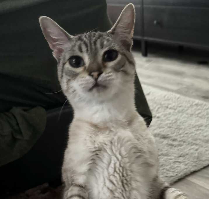 Photo of Zoya