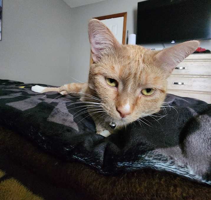 Photo of Athena