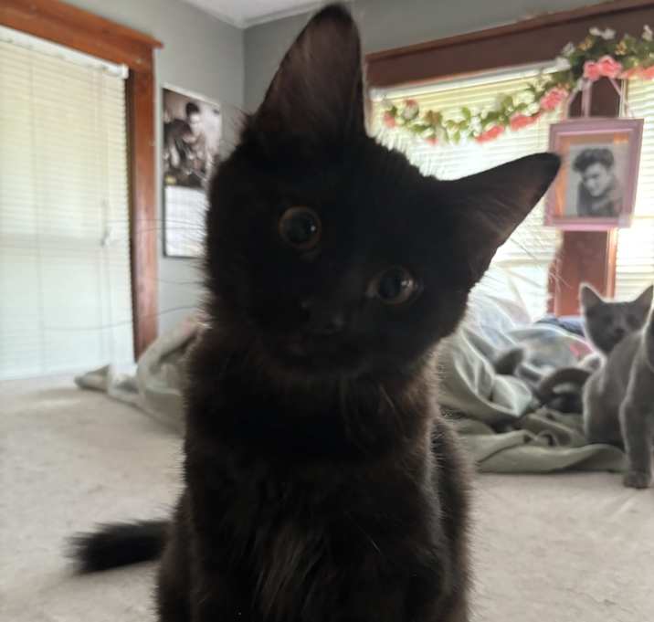 Photo of Rita