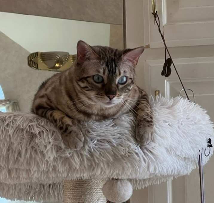 Photo of Sparkle