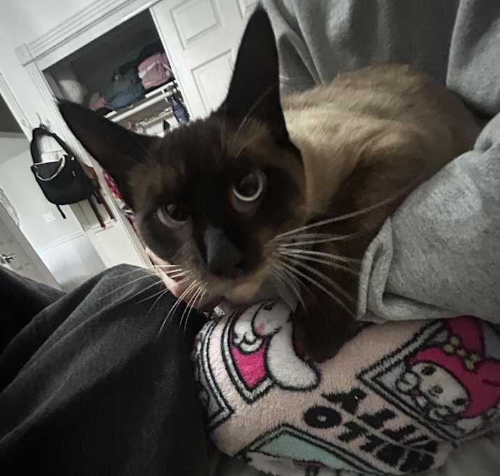 Photo of Luca