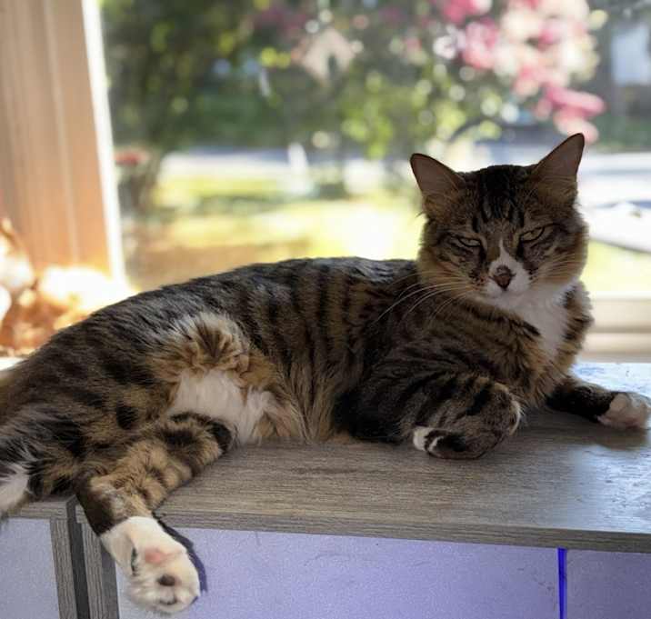 Photo of Max