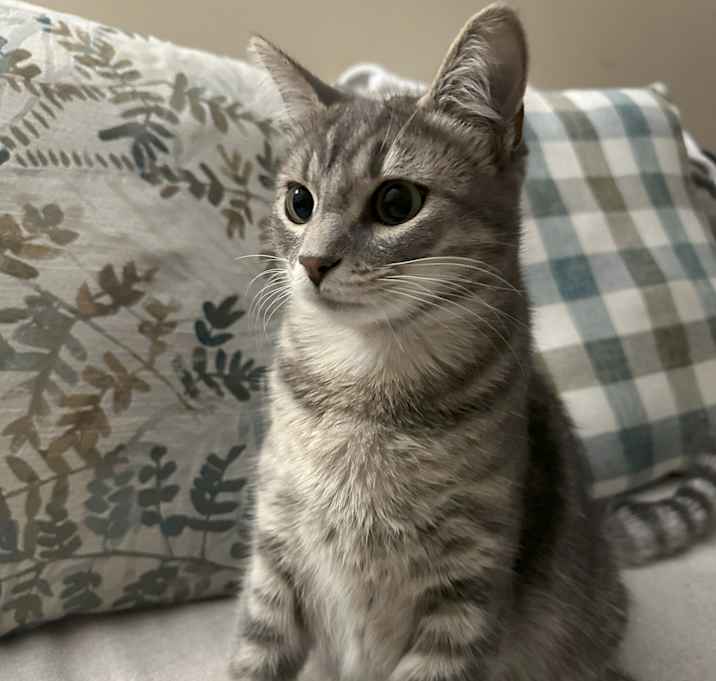 Photo of Coco
