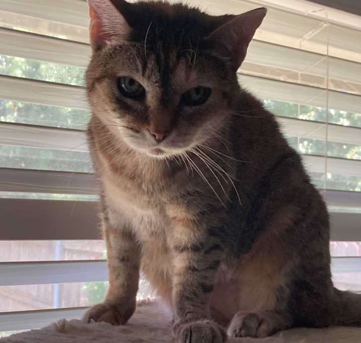 Photo of Freya