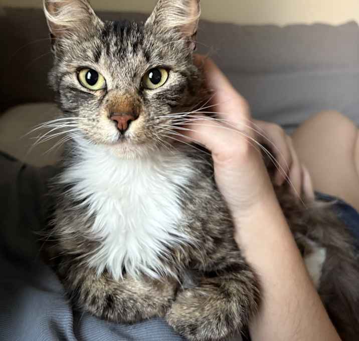 Photo of Beans