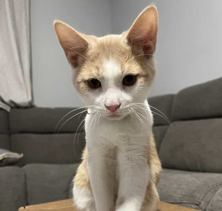 Photo of Jasper