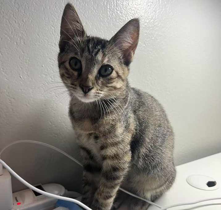 Photo of Charlie