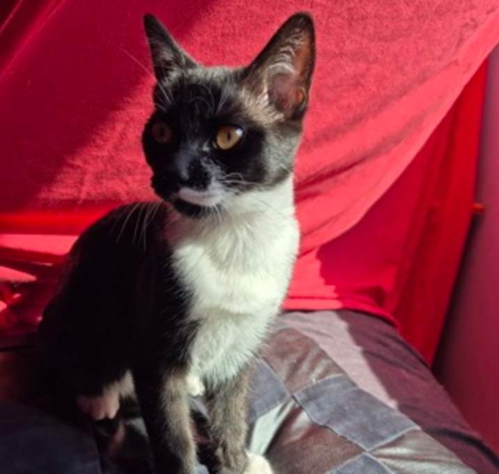 Photo of Coco