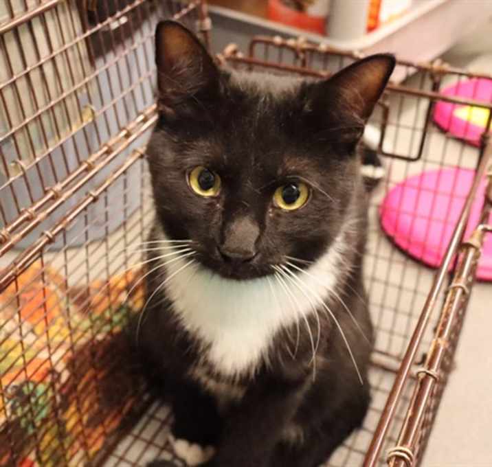 Photo of BOOTS