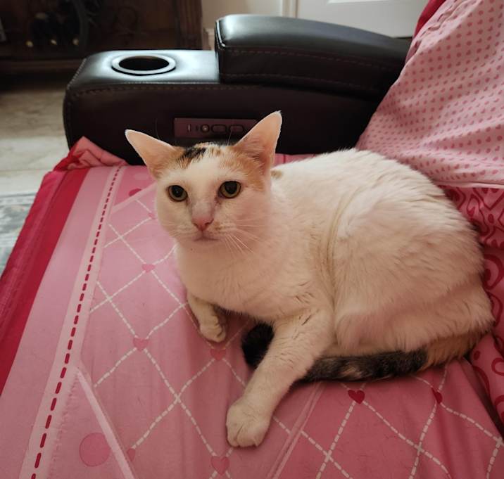 Photo of Coco
