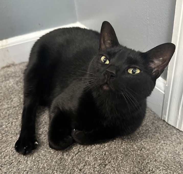 Photo of Sabrina