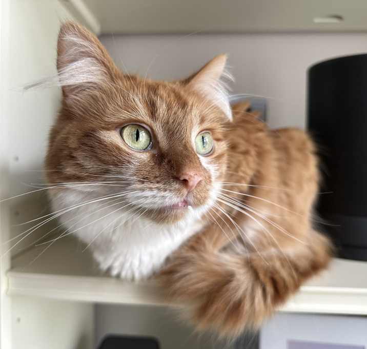 Photo of Maeve