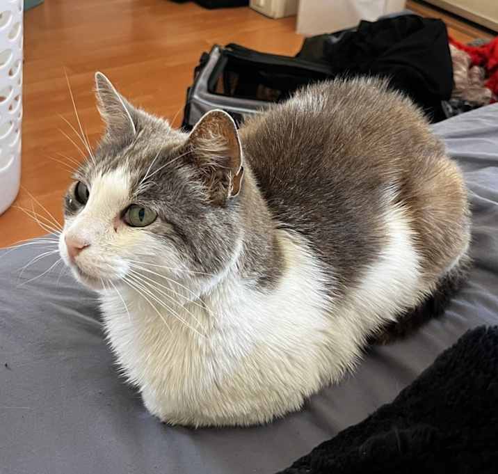 Photo of Lucy