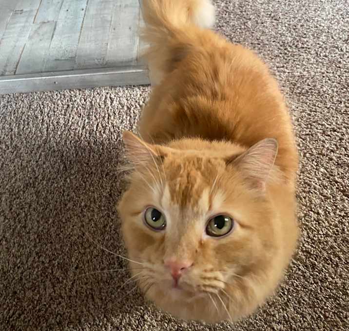 Photo of Nigel