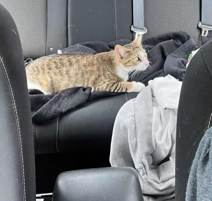 Photo of Dunkin’