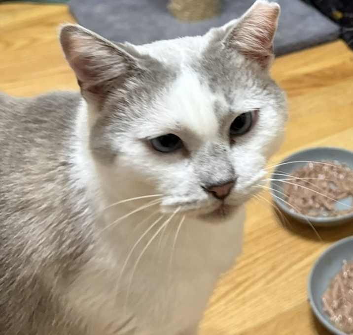 Photo of Sammy