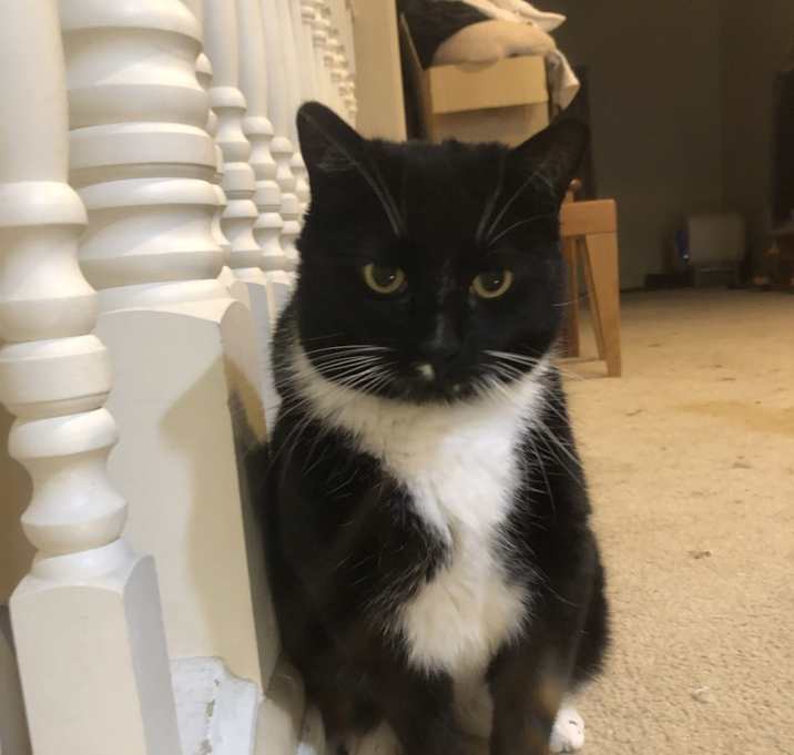 Photo of Bonnie
