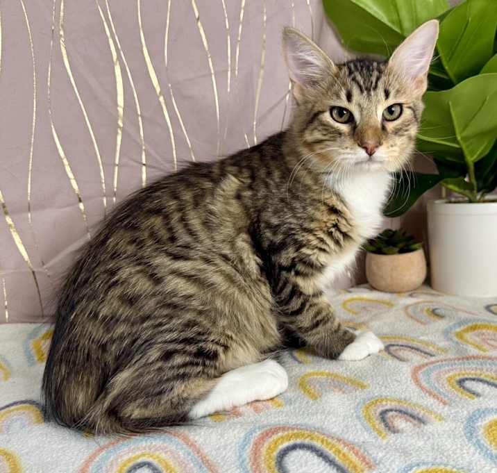 Photo of Calvin