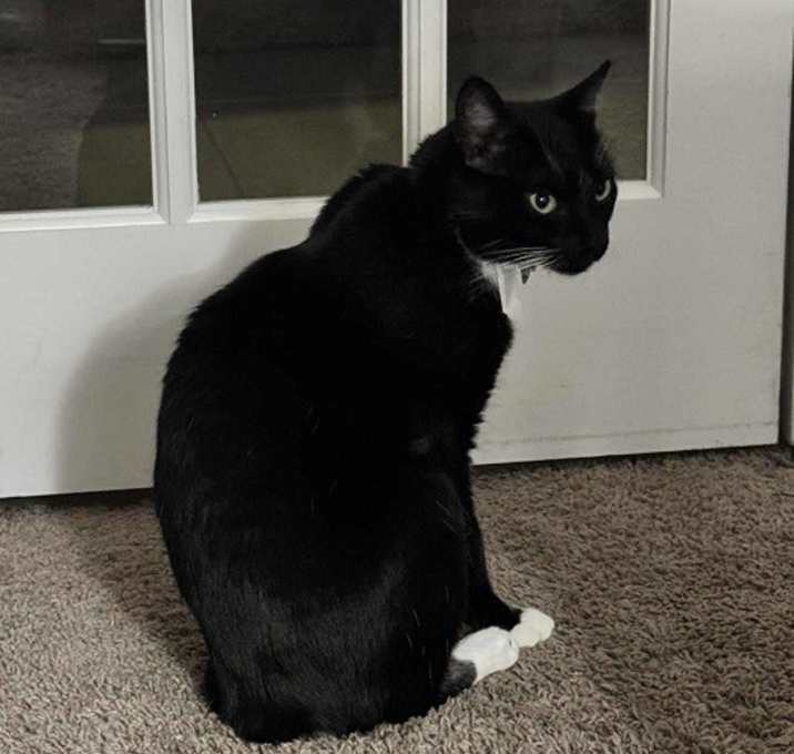 Photo of Bob