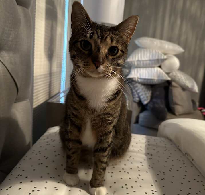 Photo of Lily