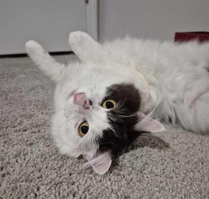 Photo of Oliver