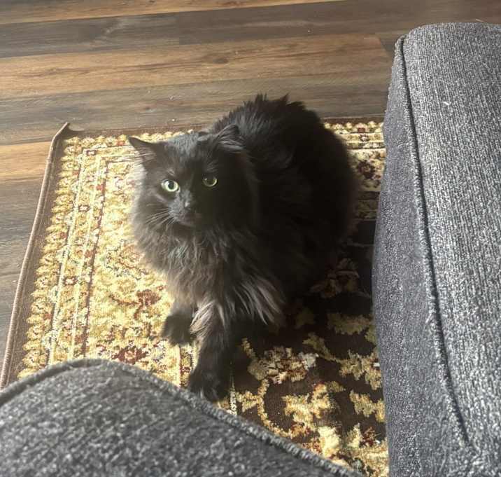 Photo of Bean