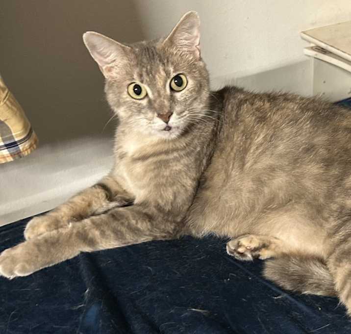 Photo of Luna