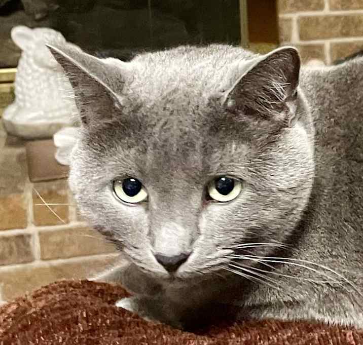 Photo of Fritz