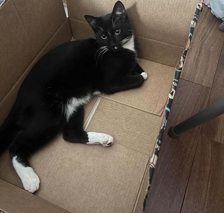 Photo of Yin