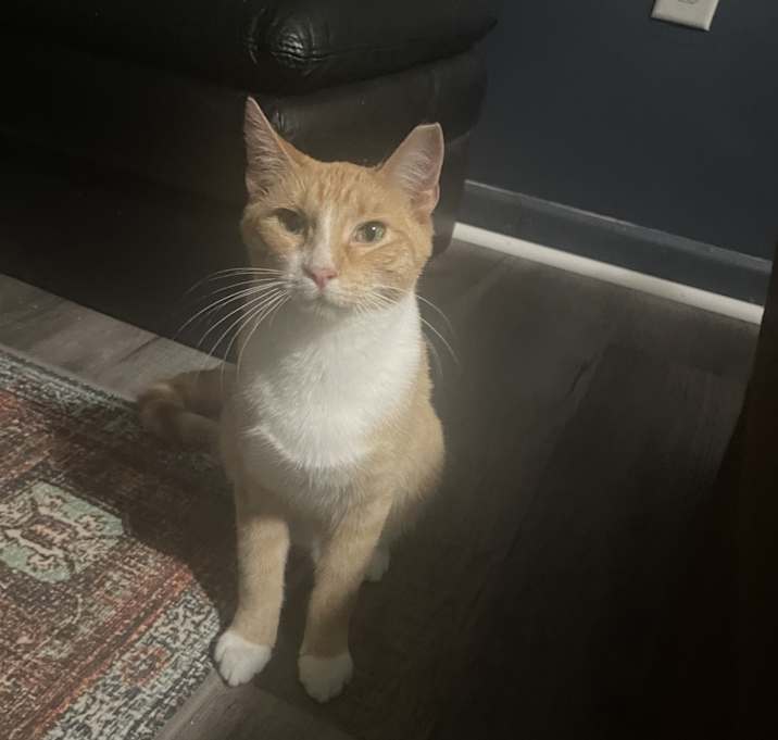 Photo of Penny