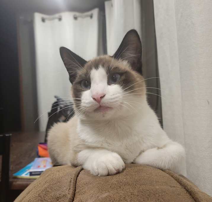 Photo of Paco